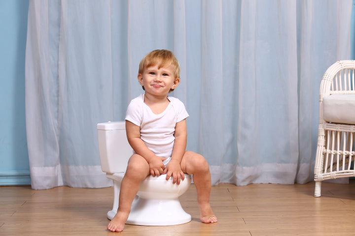 Potty Training Toilet White Holiday Bathtime